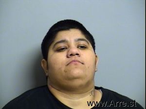 Jazmin Ibarra Arrest Mugshot