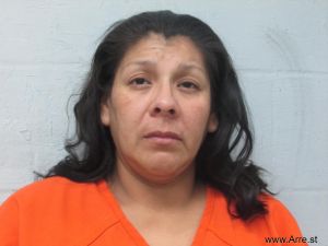 Joanna Costilla Arrest Mugshot