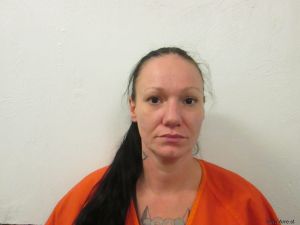 Julia Davis Arrest Mugshot