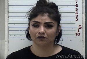   Arrest Mugshot