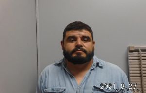 Luis Delgado Arrest Mugshot