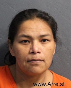 Lydia Garcia Martinez Arrest