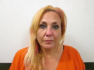 Lisa Jones Arrest Mugshot