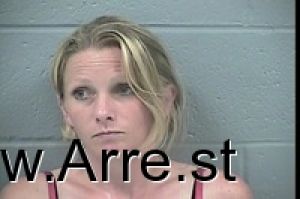 Lisa Sanders Arrest Mugshot