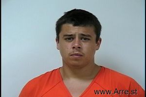 Logan Owens Arrest