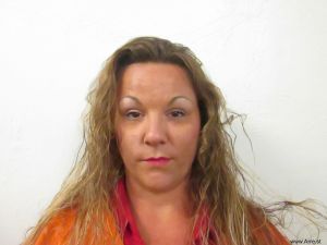 Lyndee Dressler Arrest Mugshot