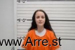 Megan Harry Arrest Mugshot