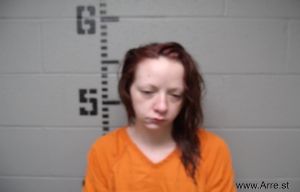 Michelle Hulette Arrest