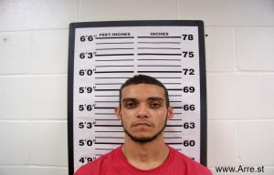 Nathan Martin Arrest Mugshot