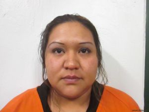 Olga Ramirez Arrest Mugshot
