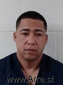 Pedro Ortiz-rosales Arrest Mugshot