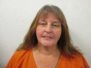 Paula Wade Arrest Mugshot