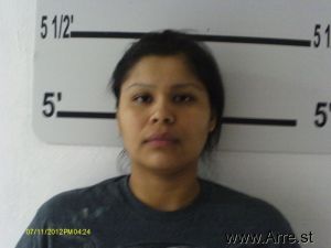 Rebecca Ballard Arrest Mugshot