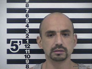 Robert Luna Arrest