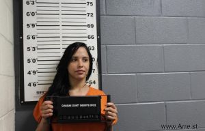 Rosemeri Lopez Arrest