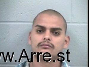 Rosario Hernandez Arrest Mugshot