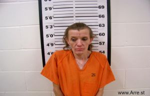 Stephanie Mitchell Arrest Mugshot