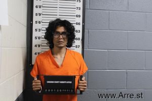 Sergio Santos Arrest Mugshot