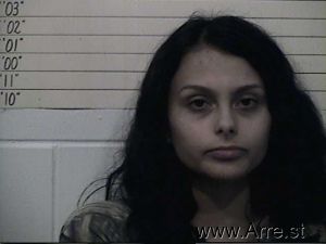 Shelby Paige Arrest Mugshot