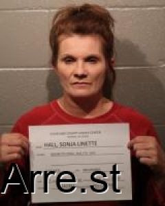 Sonja Hall Arrest