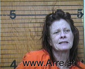 Stephanie Donahue Arrest Mugshot