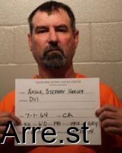 Stephen Angle Arrest