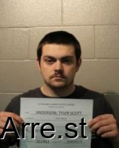 Tyler Anderson Arrest