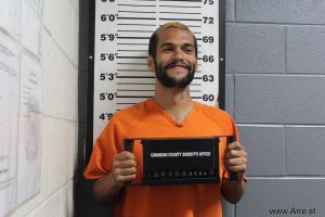 Tyler Sirmons Arrest