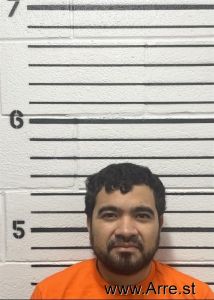Victor Martinez-lopez Arrest