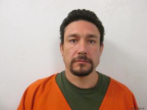 William Birdtail Arrest Mugshot