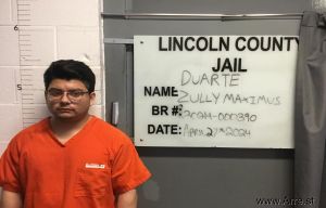 Zully Duarte Arrest
