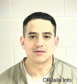 Ademir  Hernandez-arciga Mugshot