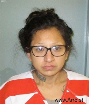 Amanda Renee Cazares Mugshot