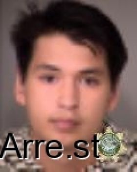 Alex Bao Nguyen Mugshot