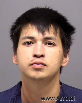 Alex Bao Nguyen Mugshot