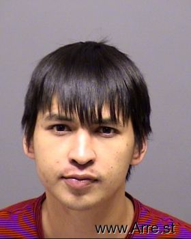 Alex Bao Nguyen Mugshot