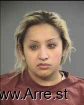 Amanda  Torres Mugshot