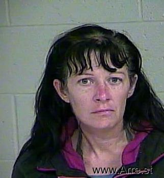 Angela L Ynn Anderson Mugshot