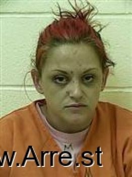 Ashley Lynn Chandler Mugshot