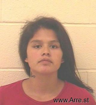 Ashley Rose Lewis Mugshot