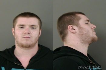 Brandon  Freeman Mugshot