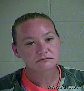 Brandy Lee Sanders Mugshot