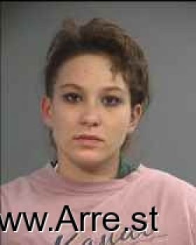 Brittany Ellen Anderson Mugshot