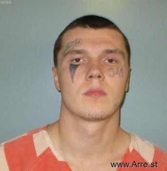 Christian Ryan Perkins Mugshot