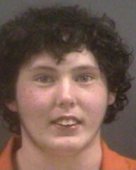 Carl S Johnson Mugshot