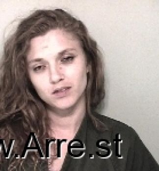 Cheryl Lynn Anderson Mugshot