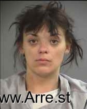 Christine Carole Yedziniak Mugshot