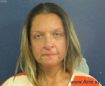 Diane Rochelle Berecz Mugshot