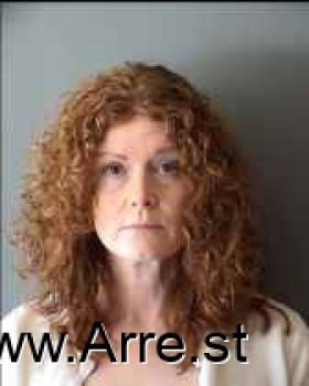 Debra Ellen Hansen Mugshot