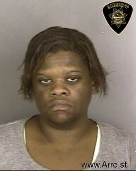 Erica Ann Johnson Mugshot